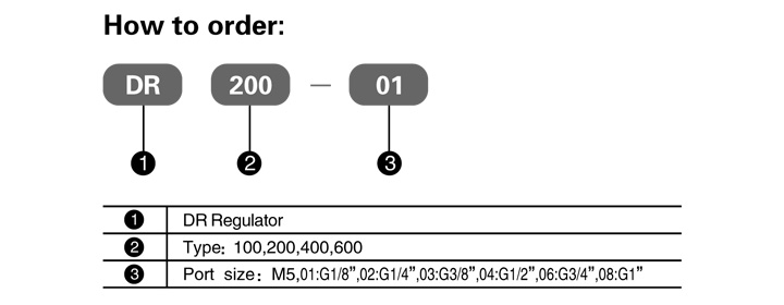 DR_Series_FRL_How_to_Order